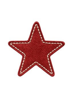Leather Star Sticker